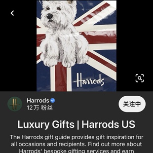 周A家harrods西高地周边小美狗茶巾装饰画摆拍背景防尘盖布茶布