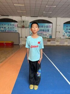 武术运动T恤衫训练服  武术短袖衫  太极文化衫  速干武术T恤背心