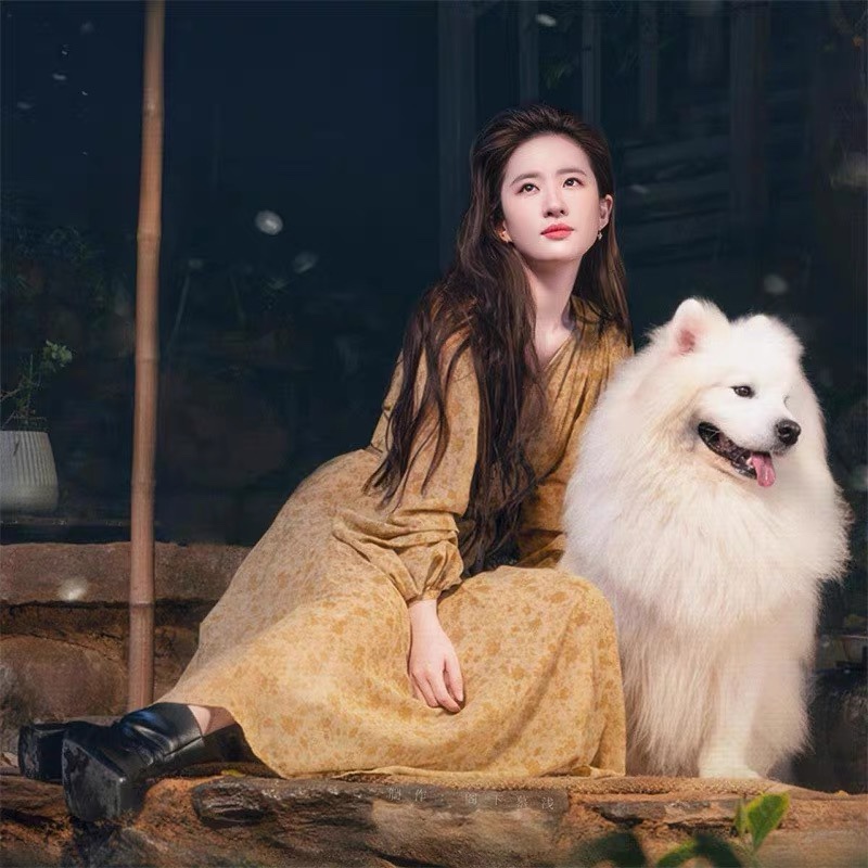 刘亦菲同款温暖美好的许红豆裙子