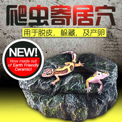 zoomed蛇窝躲避洞穴蜥蜴躲避