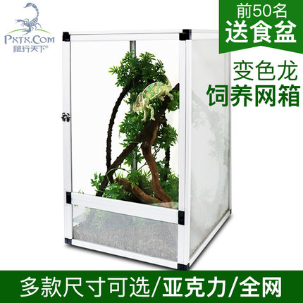 爬宠网箱高冠七彩雨林蜥蜴宠物爬虫箱奥水蜥蜴饲养箱爬宠箱通风透