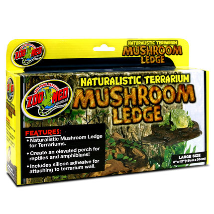 ZOOMED爬虫造景晒台躲避洞穴爬宠造景枯木休息平台爬宠高箱爬宠装