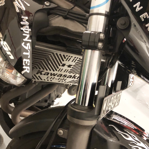 KAWASAKI川崎Ninja400Z650VERSYS\ER6N\6F不锈钢改装水箱网保护罩