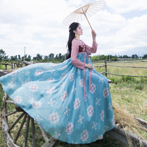 现货【琼花房】雪纺连衣裙女2026春季新款国风襦裙印花长裙仙女裙