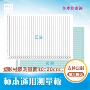医用ESD病理组织肿瘤手术标本测量塑料拍照尺中医药板色谱卡现货
