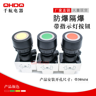 BA8030防爆带灯按钮 防爆按钮带指示灯 自复位防暴带信号灯开关