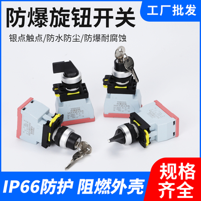 新款22mm开孔防爆旋钮转换开关钥匙二档三档自锁8022防水防尘控制