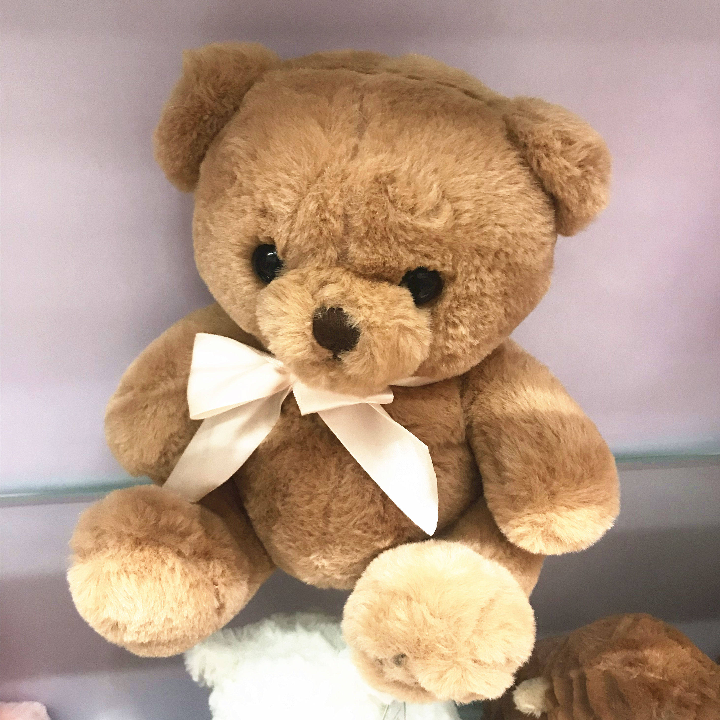 情人节礼物坐款小泰迪熊白色小熊棕色小熊可爱毛绒玩具熊