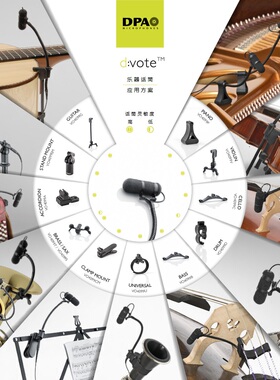 DPA Microphones 4099V  B C D T D G A P 小提琴收音话筒超心型