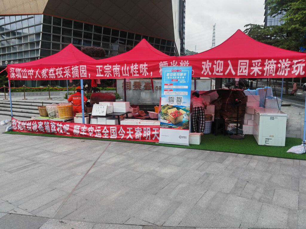 深圳南山荔枝5斤装桂味
