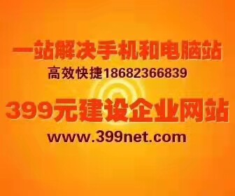 网站制作网站建设399元