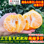 橘十六四川春见耙耙柑10斤大果爆汁手剥橘新鲜水果纯甜顺丰 包邮