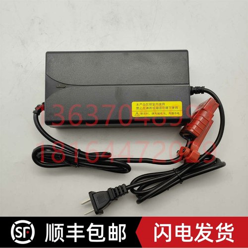 杭叉雷翼DZL48200648V3A充电器