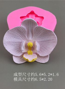 蝴蝶兰花朵硅胶模具扩香石香薰模