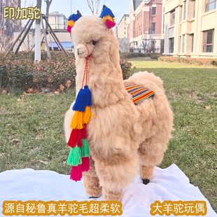 印加驼秘鲁进口真羊驼毛大羊驼毛绒玩偶公仔摆件一米仿真羊驼