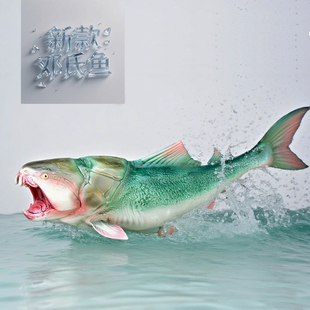 新款邓氏鱼模型仿真实心玩具海洋远古生物胴壳鱼盾皮鱼类泥盆纪