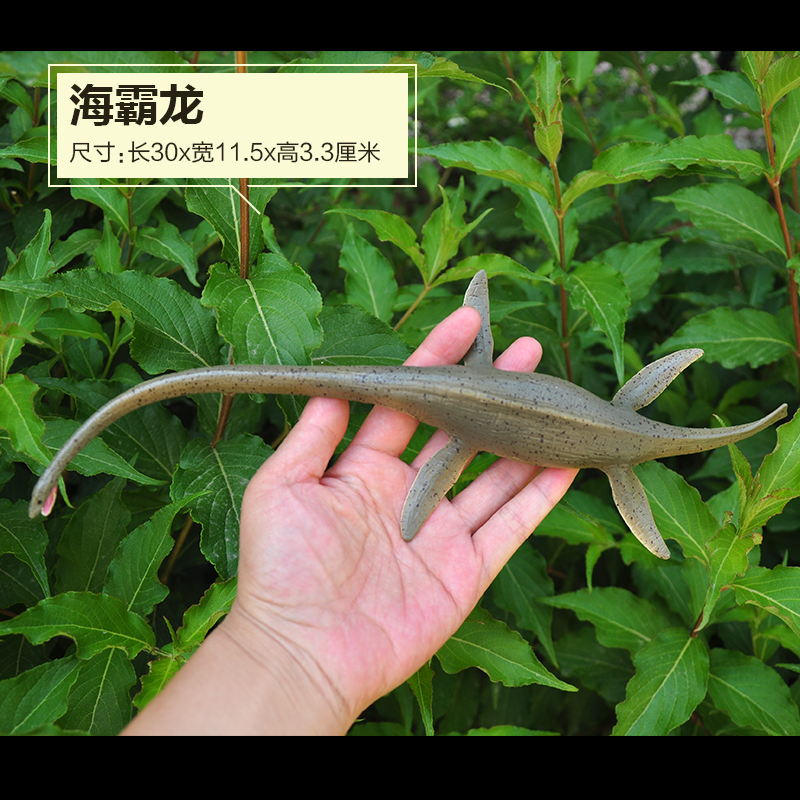 海霸龙模型仿真恐龙玩具海统龙蛇颈龙目远古海洋动物白垩纪