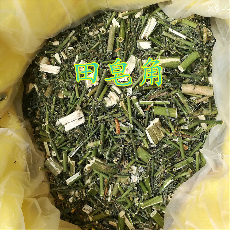 野生田皂角500克合萌 自然晒干无硫纯天然中药材梗通草水通草含羞