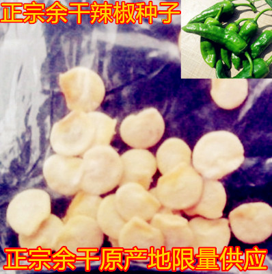 正宗余干丰收枫树辣椒今年新种籽