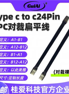 桂爱一对一双头软排线FPC连接器usb Type c to c公头fpc公对公24P