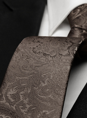 男士品牌领带灰色商务正装高级感棕色咖色拉链式免打结懒人学院风