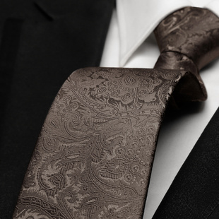 男士品牌领带灰色商务正装高级感棕色咖色拉链式免打结懒人学院风