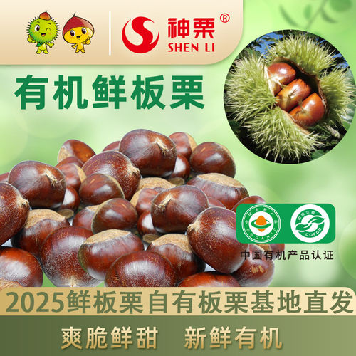 神栗新鲜有机生板栗河北燕山宽城5斤装产地直发粉糯香甜带壳板栗