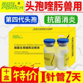 猫咪狗狗用头孢消炎针治皮肤病细菌感染脓皮症兽用感冒产后消炎