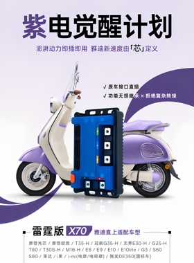 凌博X70x90max雅迪白鲨s80直上e80t35G25g30.e80T60g35e10m26等