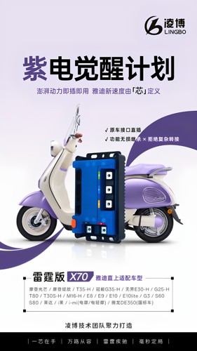 凌博X70x90max雅迪白鲨s80直上e80t35G25g30.e80T60g35e10m26等