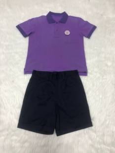 天津市南开区日新国际小学夏季纯棉校服T