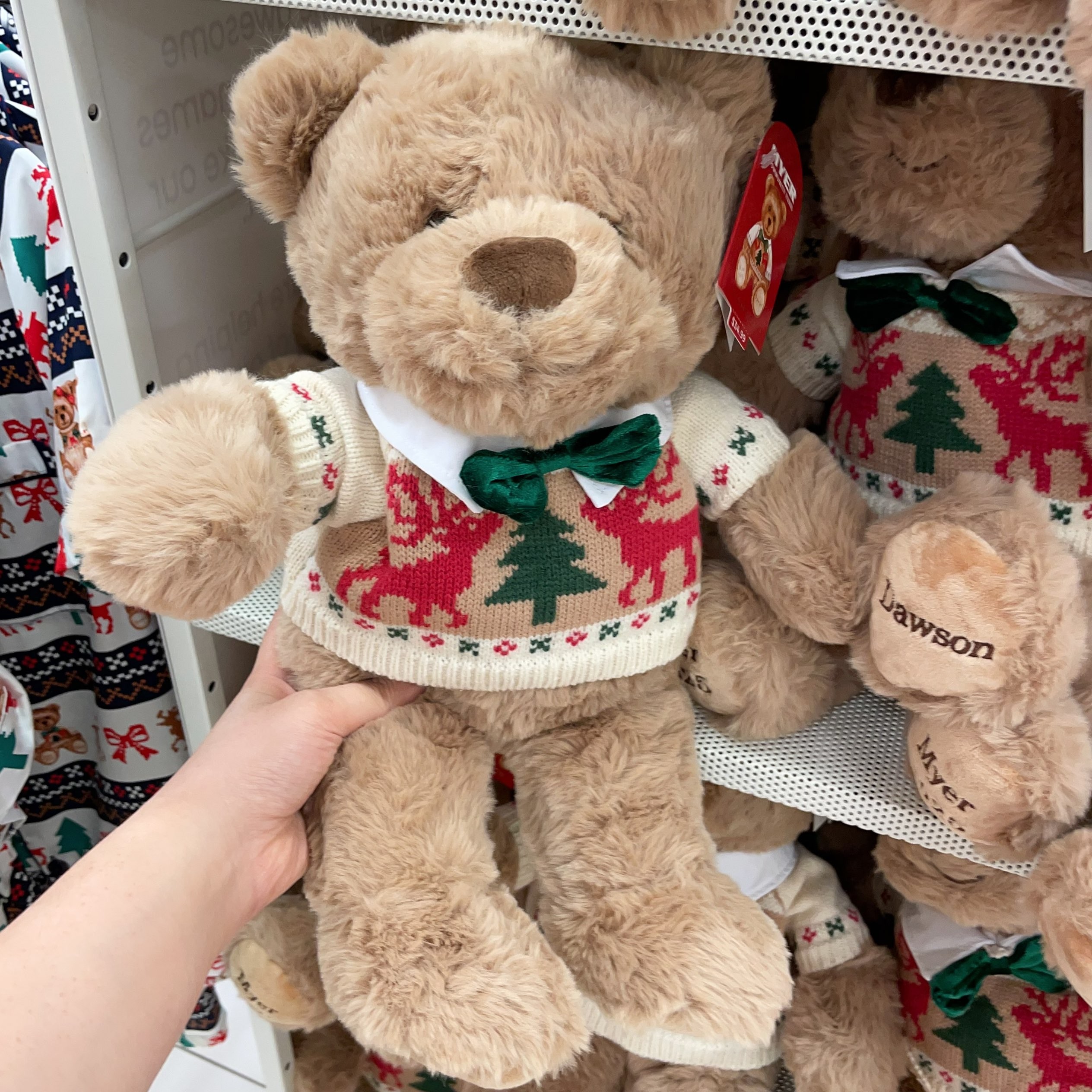 澳洲代购直邮 myer 周年庆 慈善熊熊 DAISY Dawson 毛绒玩具 1个