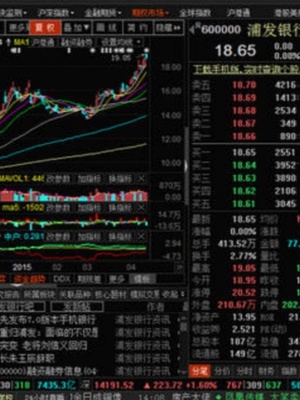 数据查找上市公司/财务报表/经济ifind宏观/万得债券面板整理wind