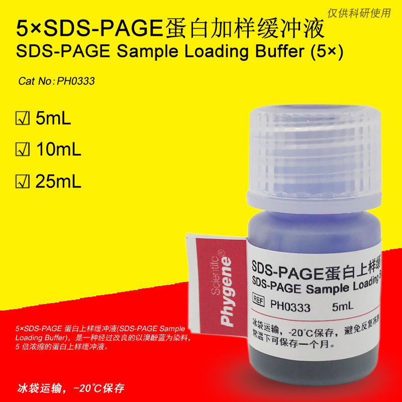 SDS-PAGE蛋白上样缓冲液（5X）加样缓冲液 5mL[PH0333 PHYGENE]