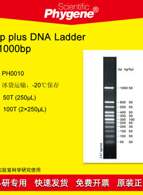50bp plus 50-1000 DNA Ladder DNA Marker 100T PH0010 PHYGENE