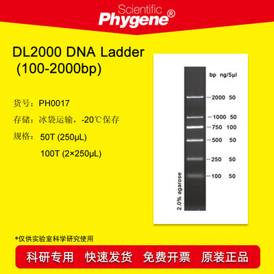 DL2000 DNA Ladder (100-2000bp) 100T DNA Marker PH0017