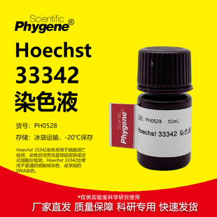 Hoechst 33342染色液 赫斯特荧光细胞核DNA染色液 细胞凋亡检测