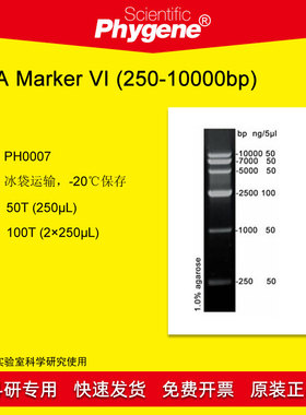 DNA Marker (250-10000bp) 100T [PH0007 PHYGENE]