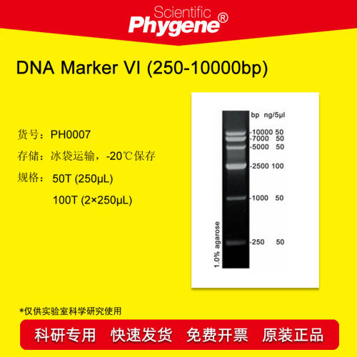 DNA Marker (250-10000bp) 100T [PH0007 PHYGENE]