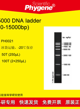 DNA Marker DNA ladder (250-15000bp) 100T [PH0021 PHYGENE]
