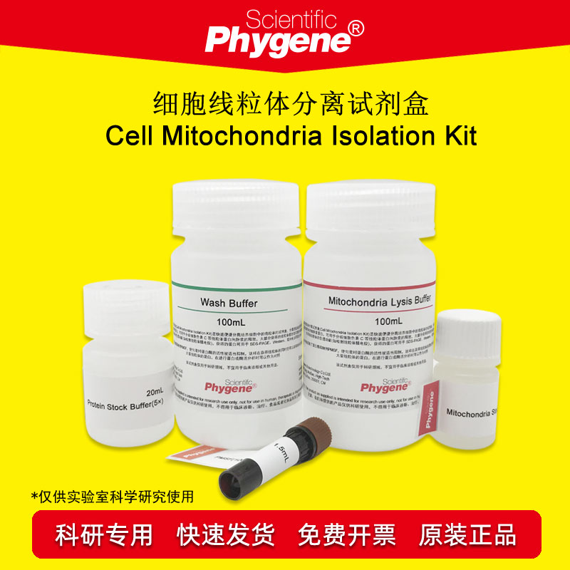 细胞线粒体分离试剂盒 50T 可开票  [PH9171 PHYGENE]