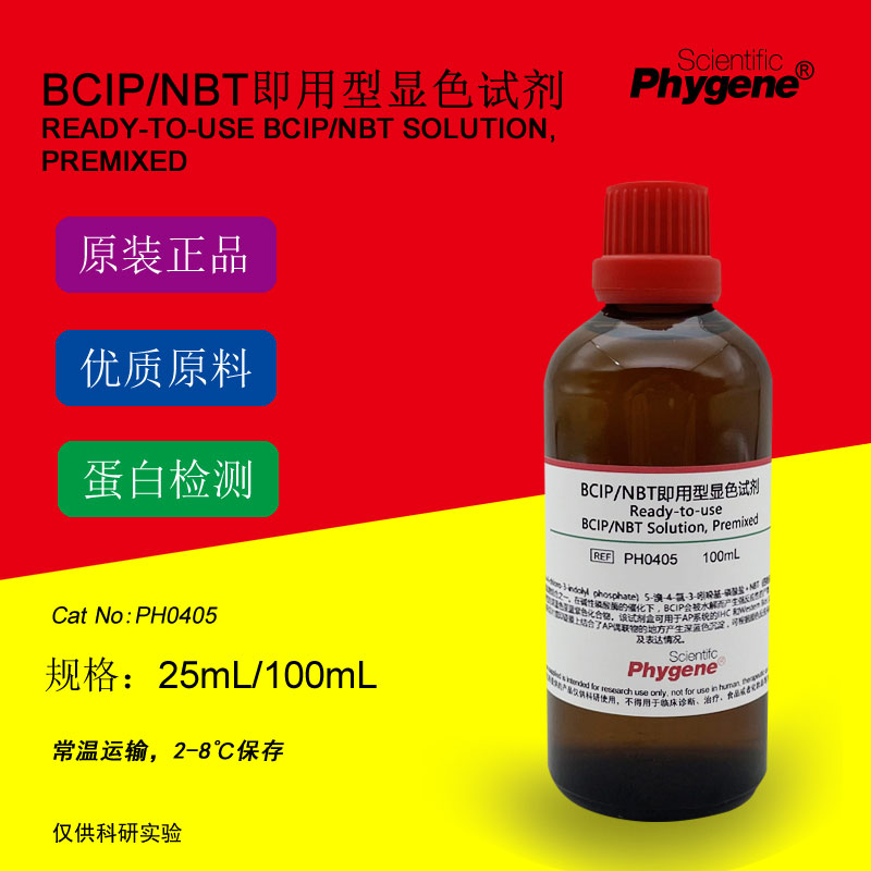 BCIP/NBT碱性磷酸酶显色液即用预混型 100mL[PH0405 PHYGENE]