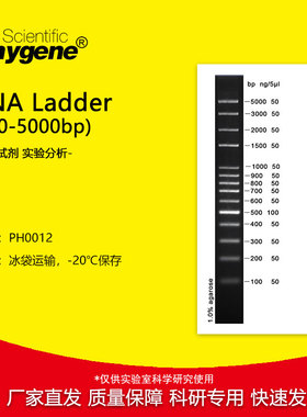 100bp plus DNA Ladder/Marker (100-5000bp) [PH0012 PHYGENE]