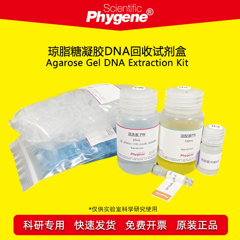 琼脂糖凝胶DNA试剂盒 100T/200T 科研试剂 [PH0208 PHYGENE]