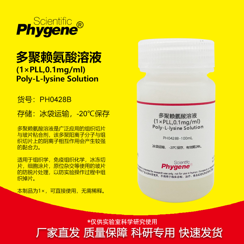 多聚赖氨酸溶液(1×)