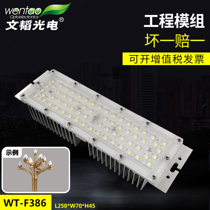 50W模组模组光源文韬光电