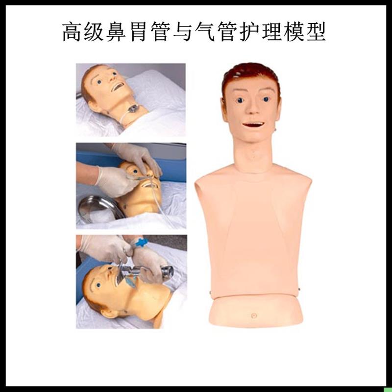高级鼻胃管与气管护理模型 鼻胃管护理模型 鼻饲模型 护理教学
