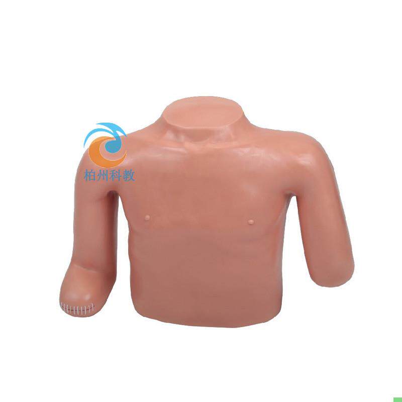 高级高位包扎模型 上肢包扎训练模型 包扎法训练模型 医学教学用