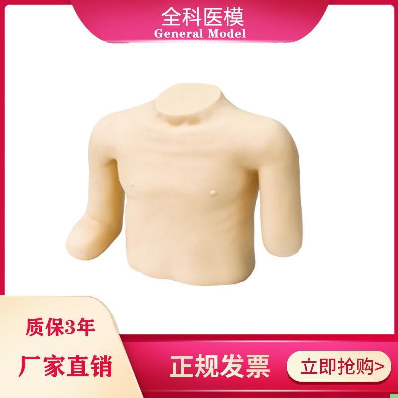 高级高位包扎模型头颈胸部上肢截肢手臂训练模具骨折固定操作LV13