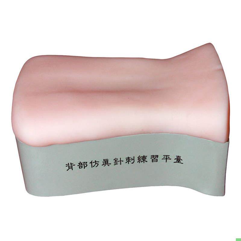 背部仿真针刺练习平台 后背部针灸针刺训练模型 背部扎针练习模型